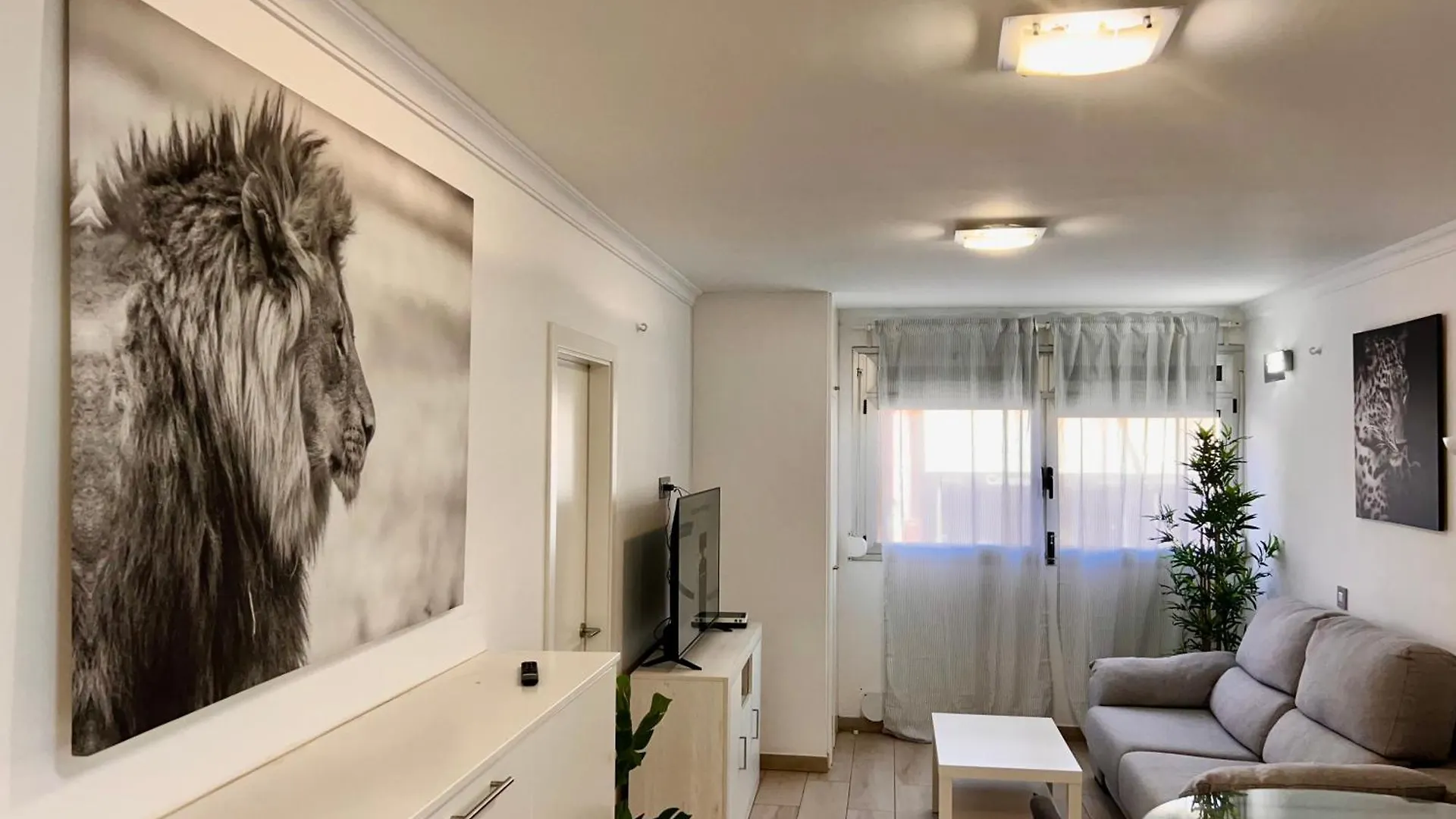 Cozy Home El Medano contacts